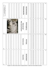 Faltbuch-Warzenschwein.pdf